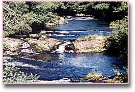 river shin, morangie house hotel, scotland